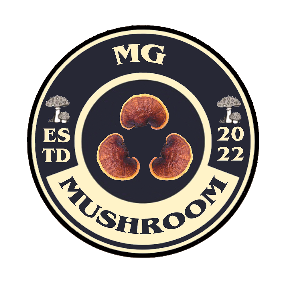 MG Mushroom                                                                                                                          